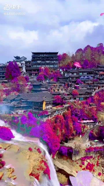 探探猫宝石岛3